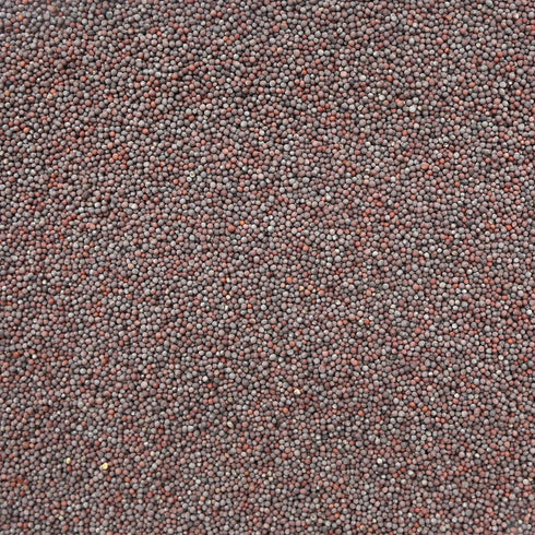 ORGANIC MUSTARD SEEDS, brown, whole